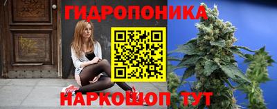 мяу мяу мука Аргун