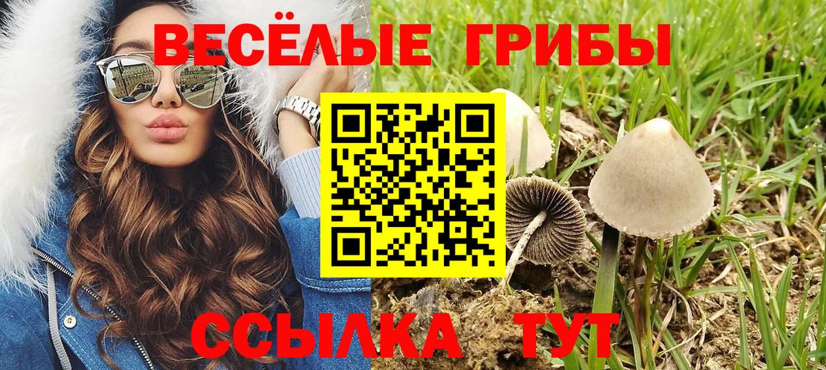 Богородск  Галлюциногенные грибы GOLDEN TEACHER  где найти наркотики  Вход с VPN  Галлюциногенные грибы ЛСД 